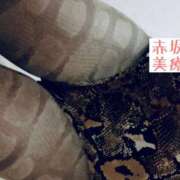 ヒメ日記 2025/12/31 14:02 投稿 れん 赤坂美療