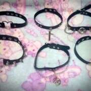 ヒメ日記 2025/07/14 18:56 投稿 千冬 新潟市鳥屋野潟ちゃんこ