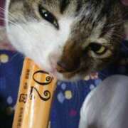 ヒメ日記 2025/08/14 15:06 投稿 千冬 新潟市鳥屋野潟ちゃんこ