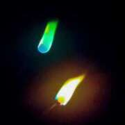 ヒメ日記 2025/08/18 02:02 投稿 千冬 新潟市鳥屋野潟ちゃんこ