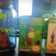 ヒメ日記 2025/10/27 21:36 投稿 千冬 新潟市鳥屋野潟ちゃんこ