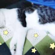 ヒメ日記 2025/12/14 15:16 投稿 千冬 新潟市鳥屋野潟ちゃんこ