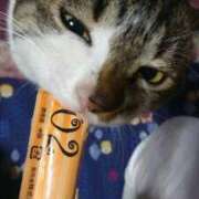 ヒメ日記 2026/01/06 17:26 投稿 千冬 新潟市鳥屋野潟ちゃんこ