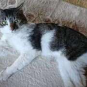 ヒメ日記 2026/01/12 13:20 投稿 千冬 新潟市鳥屋野潟ちゃんこ