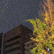 金井 咲 雪❄️ 人妻セレブ宮殿