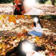 ヒメ日記 2025/12/24 08:59 投稿 こはく セグレターリオ