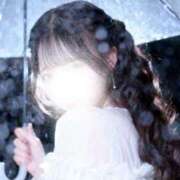 こはく 最近のおはなし💬🍒 セグレターリオ