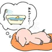 ヒメ日記 2025/11/28 12:31 投稿 のあ ZERO