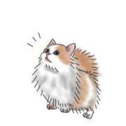 ヒメ日記 2025/12/11 23:01 投稿 のあ ZERO