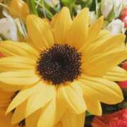 ヒメ日記 2025/07/26 22:57 投稿 貴咲　あおい タッチVIP