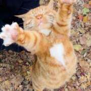 ヒメ日記 2025/08/06 12:21 投稿 貴咲　あおい タッチVIP