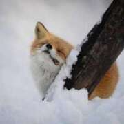 ヒメ日記 2025/08/23 21:54 投稿 貴咲　あおい タッチVIP