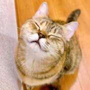 ヒメ日記 2025/10/16 16:00 投稿 貴咲　あおい タッチVIP