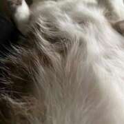 ヒメ日記 2025/11/04 16:33 投稿 貴咲　あおい タッチVIP