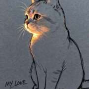 貴咲　あおい ゆきやこんこん タッチVIP