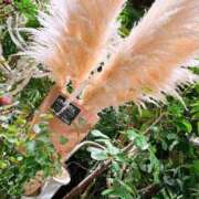 ヒメ日記 2025/12/21 07:03 投稿 貴咲　あおい タッチVIP