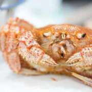 ヒメ日記 2026/01/06 16:03 投稿 貴咲　あおい タッチVIP