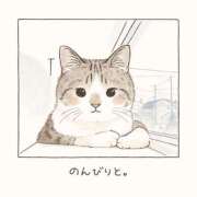 ヒメ日記 2026/03/07 14:18 投稿 貴咲　あおい タッチVIP