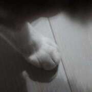 ヒメ日記 2026/03/13 17:42 投稿 貴咲　あおい タッチVIP