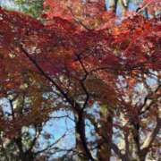 ヒメ日記 2025/10/03 16:06 投稿 高木 MadameRest(マダムレスト)