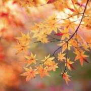 高木 好き尽くし MadameRest(マダムレスト)