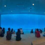 ヒメ日記 2026/03/05 02:01 投稿 高木 MadameRest(マダムレスト)