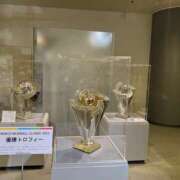 ヒメ日記 2026/03/05 17:25 投稿 高木 MadameRest(マダムレスト)