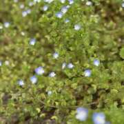 ヒメ日記 2026/03/30 10:50 投稿 高木 MadameRest(マダムレスト)