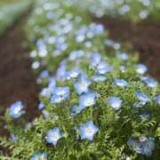 ヒメ日記 2026/04/05 23:38 投稿 高木 MadameRest(マダムレスト)