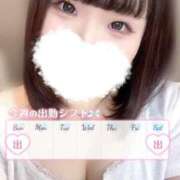 ヒメ日記 2026/09/11 12:02 投稿 ゆう ぽっちゃり巨乳専門店 町田相模原ちゃんこ