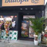 ヒメ日記 2025/07/04 14:05 投稿 大森そら BaliSpa