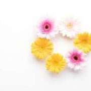 ヒメ日記 2025/06/28 19:21 投稿 伊織莉(いおり) グランドオペラ横浜