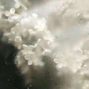 ヒメ日記 2025/08/03 00:51 投稿 伊織莉(いおり) グランドオペラ横浜