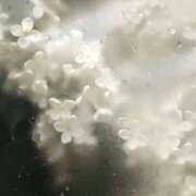 ヒメ日記 2025/08/29 21:02 投稿 伊織莉(いおり) グランドオペラ横浜