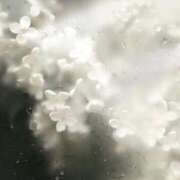 ヒメ日記 2025/10/30 00:00 投稿 伊織莉(いおり) グランドオペラ横浜