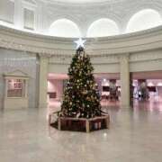 ヒメ日記 2025/11/29 00:11 投稿 伊織莉(いおり) グランドオペラ横浜