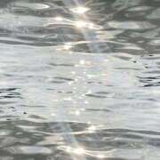 ヒメ日記 2026/03/23 23:31 投稿 伊織莉(いおり) グランドオペラ横浜