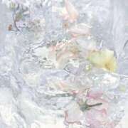 ヒメ日記 2026/07/08 01:11 投稿 伊織莉(いおり) グランドオペラ横浜