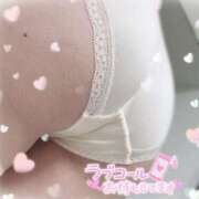 ヒメ日記 2025/06/30 19:05 投稿 さつき ナチュラルプリンセス