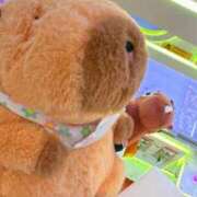 ヒメ日記 2025/07/25 02:05 投稿 さつき ナチュラルプリンセス