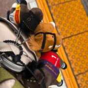 ヒメ日記 2025/09/22 19:15 投稿 さつき ナチュラルプリンセス