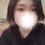 ヒメ日記 2025/09/24 07:49 投稿 さつき ナチュラルプリンセス