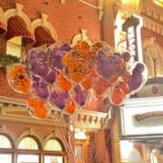 ヒメ日記 2025/10/02 14:05 投稿 さつき ナチュラルプリンセス