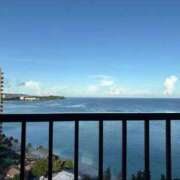 ヒメ日記 2025/10/04 13:35 投稿 さつき ナチュラルプリンセス