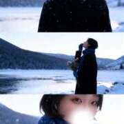 ヒメ日記 2025/11/05 16:25 投稿 さつき ナチュラルプリンセス