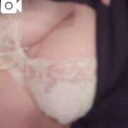 ヒメ日記 2025/11/14 16:45 投稿 さつき ナチュラルプリンセス