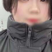 ヒメ日記 2026/01/09 11:08 投稿 さつき ナチュラルプリンセス