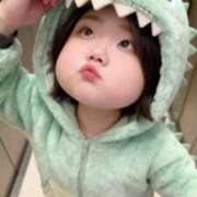 ヒメ日記 2026/01/29 15:05 投稿 さつき ナチュラルプリンセス