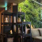 ヒメ日記 2026/01/29 19:55 投稿 さつき ナチュラルプリンセス