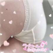 ヒメ日記 2026/02/16 17:03 投稿 さつき ナチュラルプリンセス